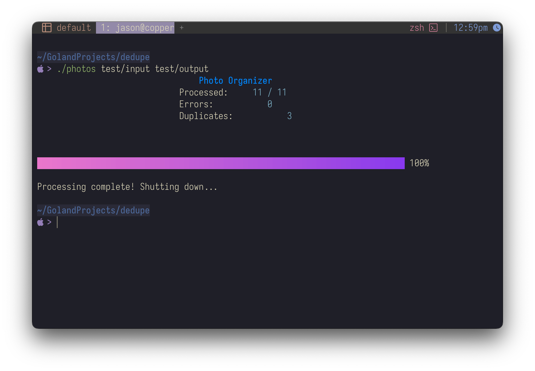 The dedupe terminal UI showing live progress while organizing files